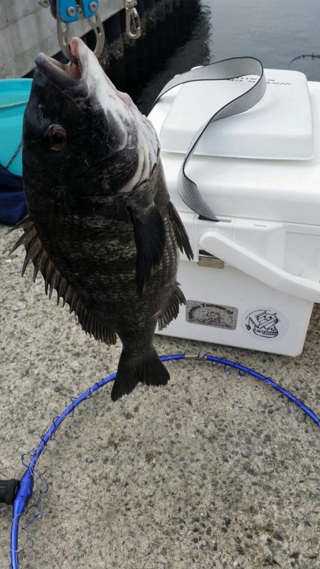 紀州釣りに挑戦！！